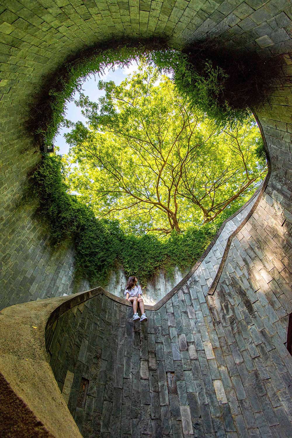 Eine Frau sitzt in einem großen runden Turm und schaut nach oben zu einem grünen Baum