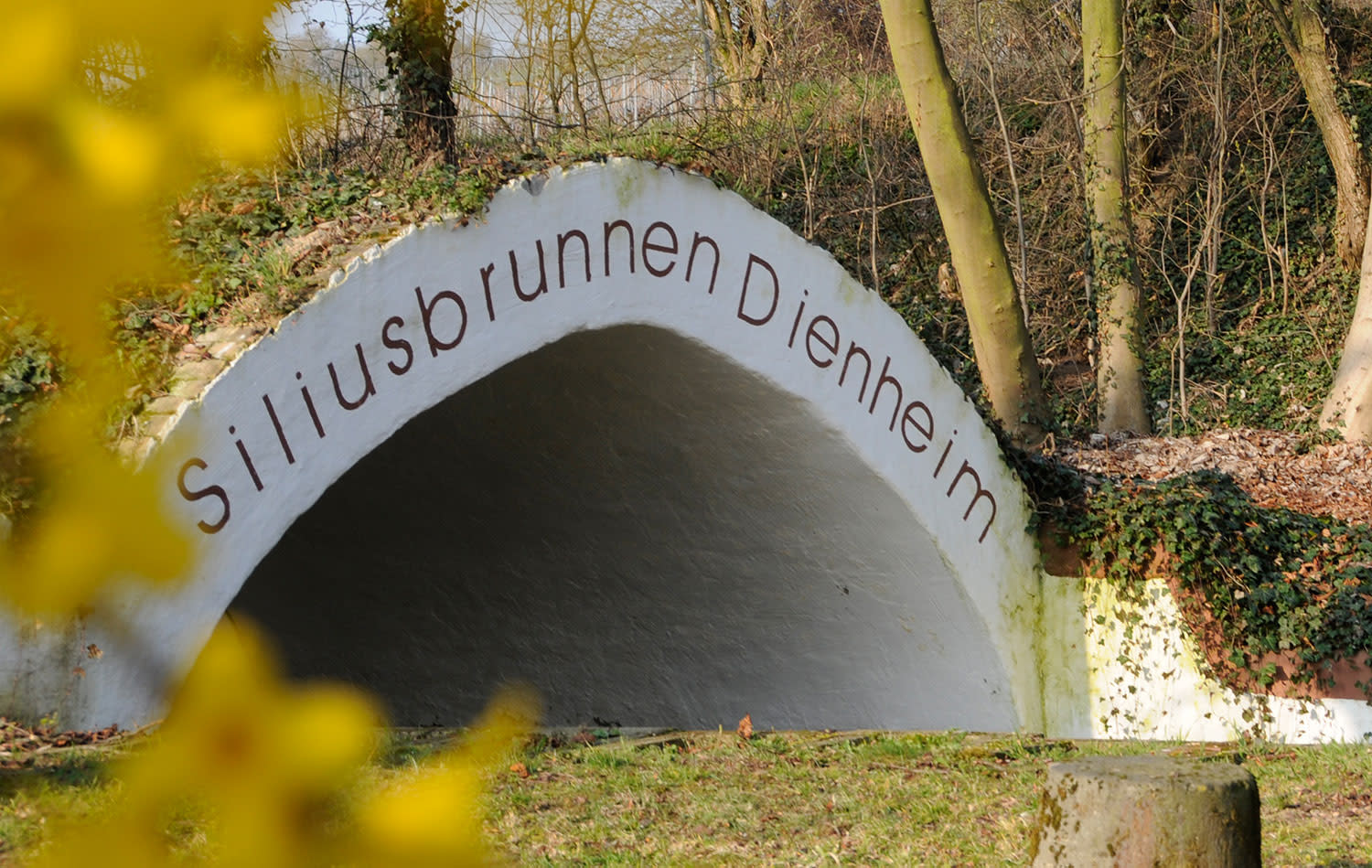 Naturaufnahme mit dem Silibusbrunnen von Dienheim