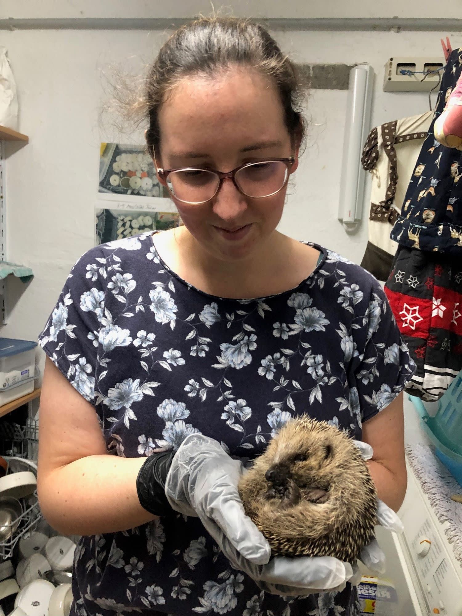 Rebecca Endres kümmert sich ehrenamtlich um einen Igel