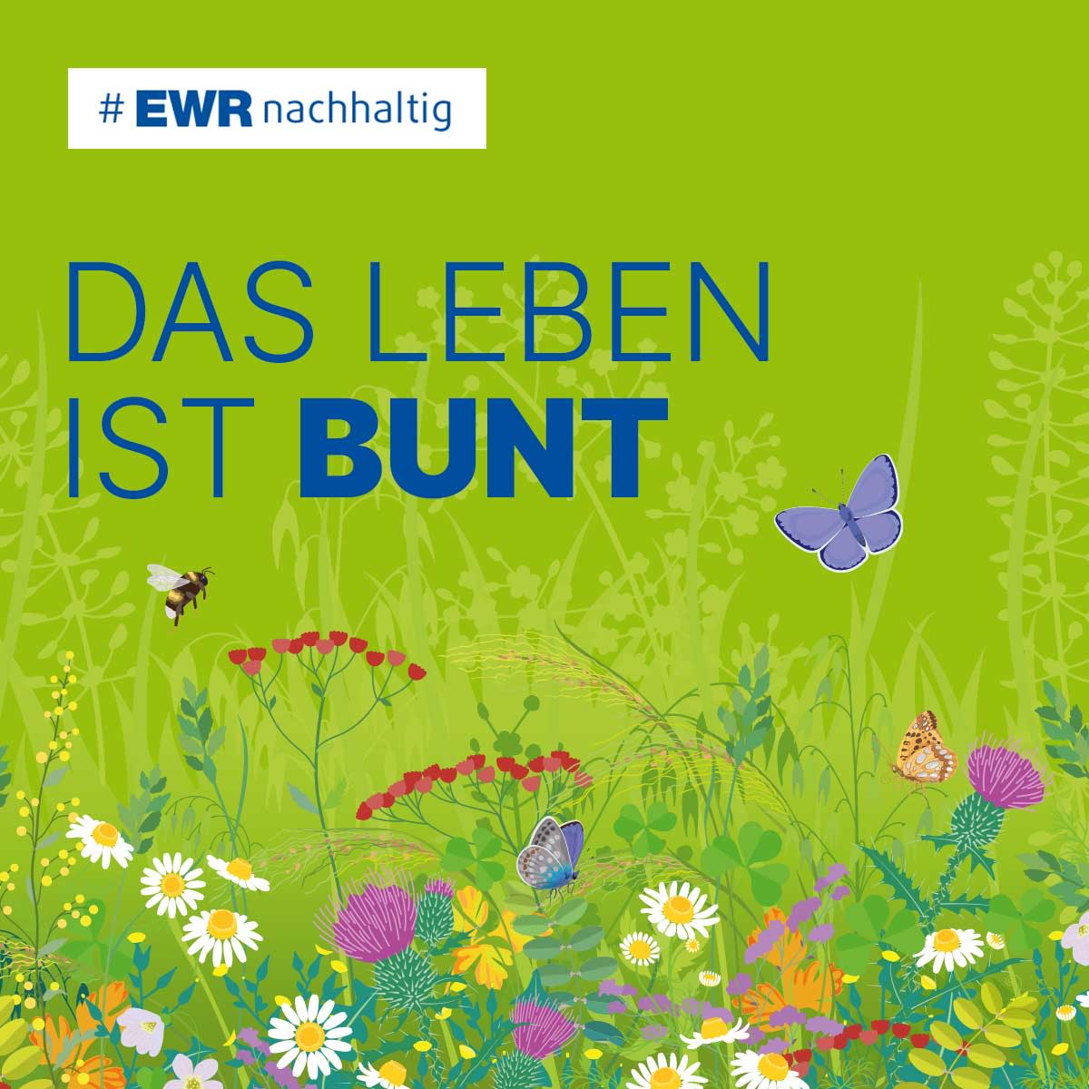 Titelbild Das Leben ist bunt: Blumenwiese als Beispiel für Artenvielfalt