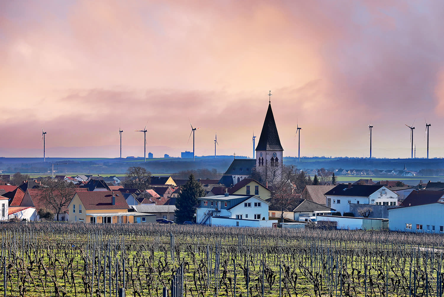 Gundheim mit Windrädern im Hintergrund und Weinbergen im Vordergrund