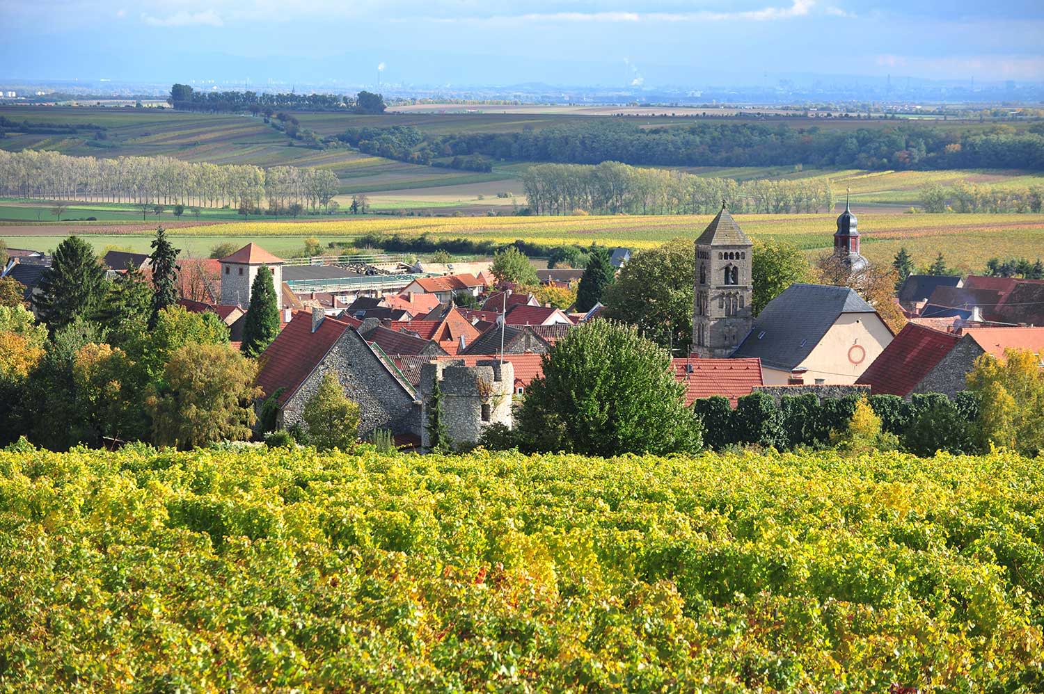 Panoramablick auf Dittelsheim-Heßloch