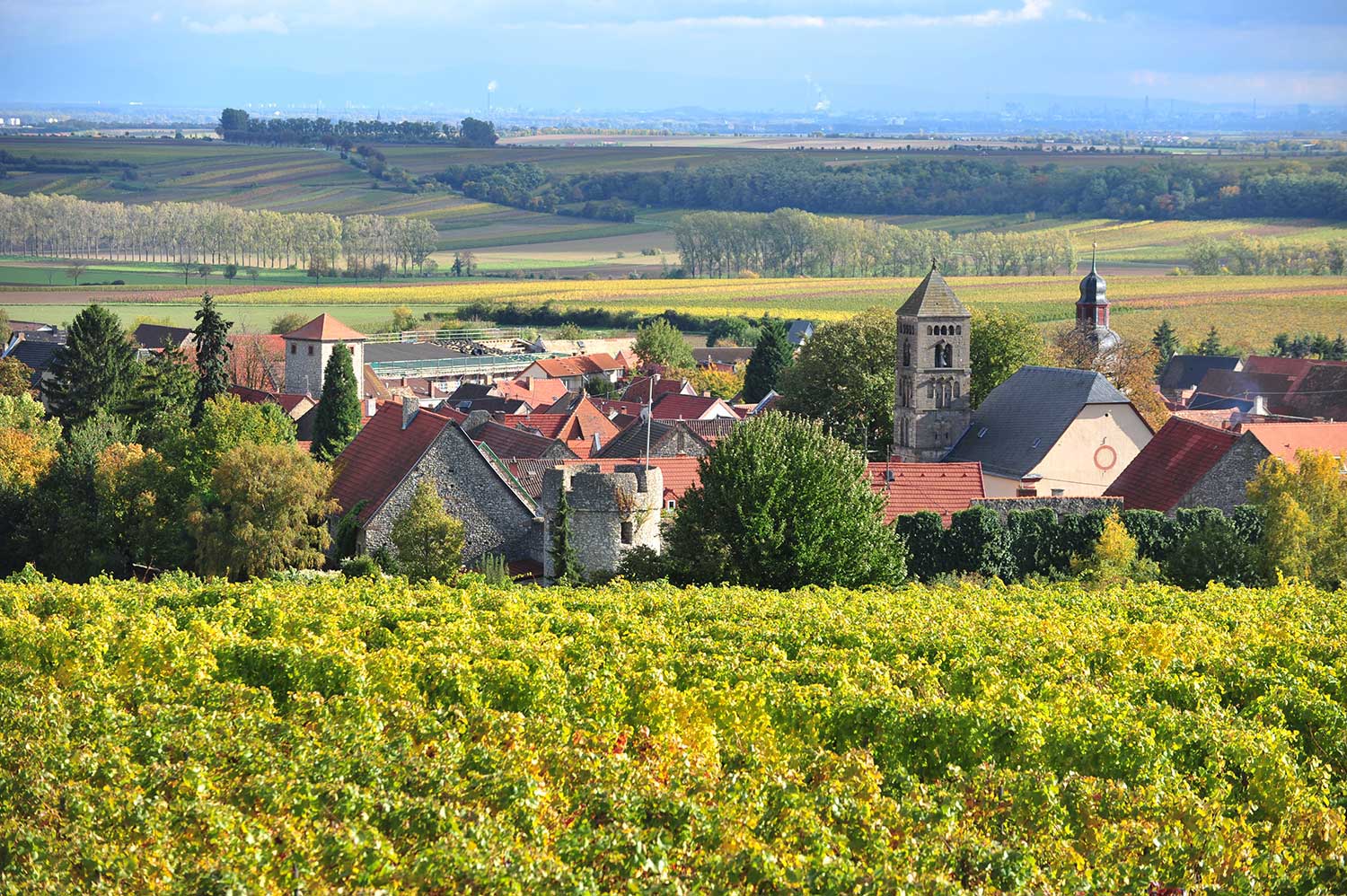 Panoramablick auf Dittelsheim-Heßloch