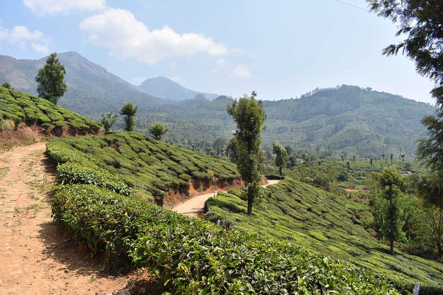 Indiens Natur mit Bergen und grünen Hängen