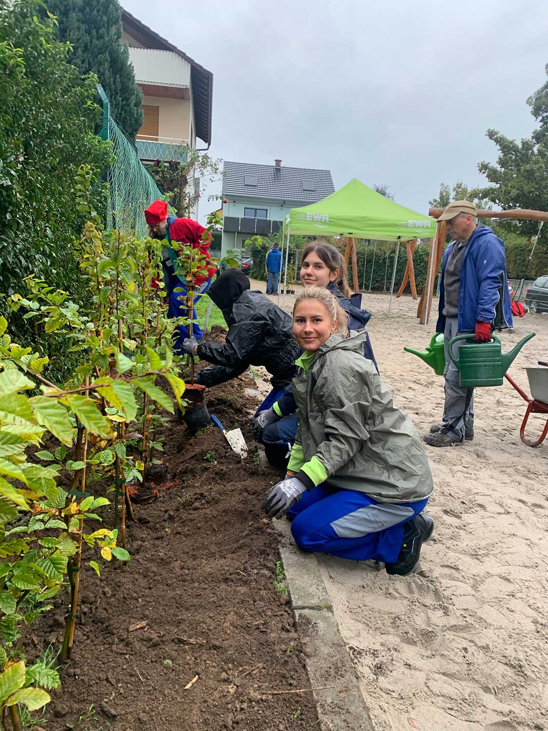 Titelbild EWR Mitarbeiter beim pflanzen der 105 Hainbuchen-Setzlinge