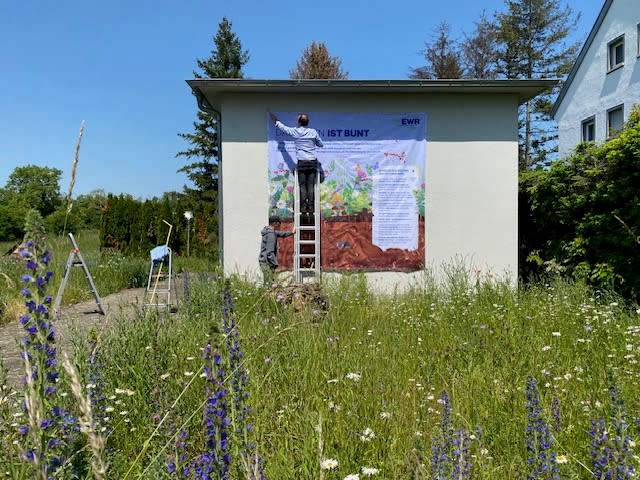 Titelbild Ein Mann steht im Naturschutzgebiet Konventstraße auf einer Leiter an einem Häuschen