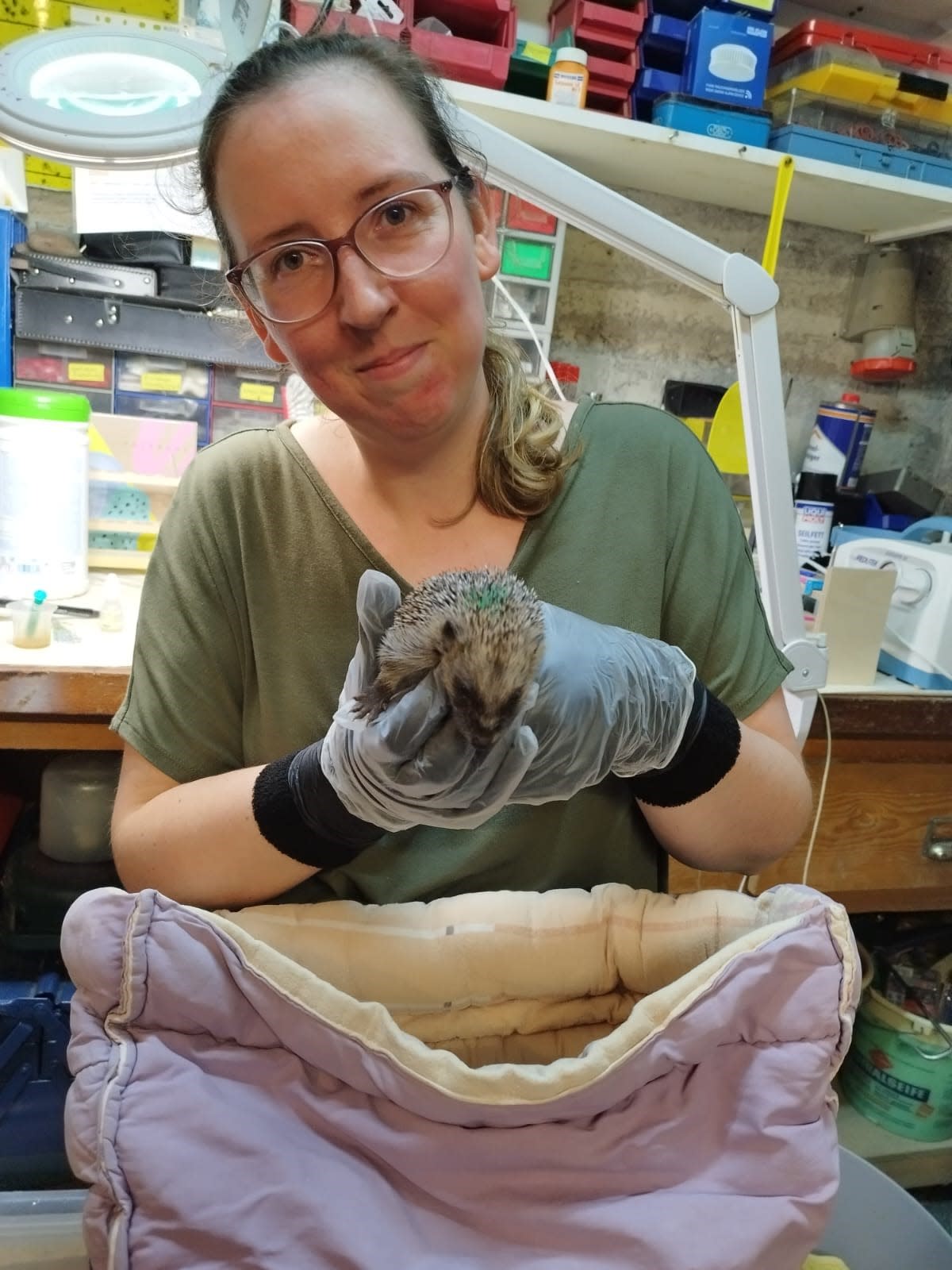 Rebecca Endres hält einen Pflege-Igel in der Hand