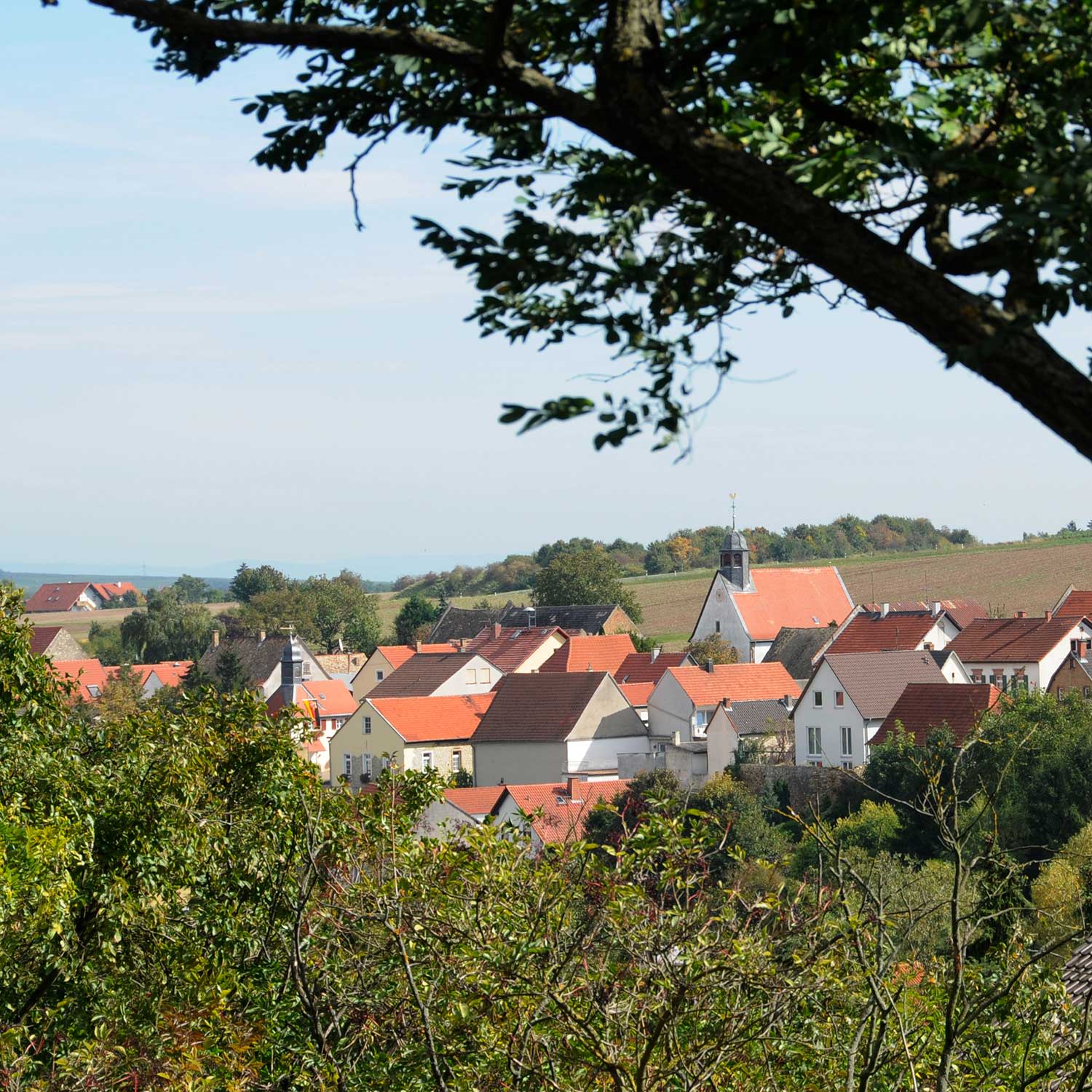 Aufnahme von Wahlheim in Rheinhessen