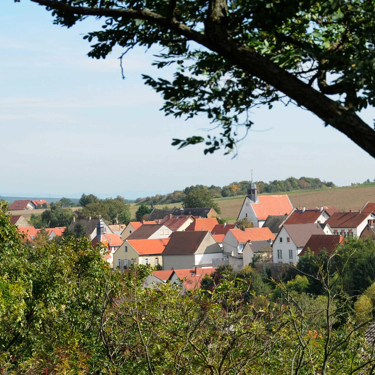Aufnahme von Wahlheim in Rheinhessen Aufnahme von Wahlheim in Rheinhessen