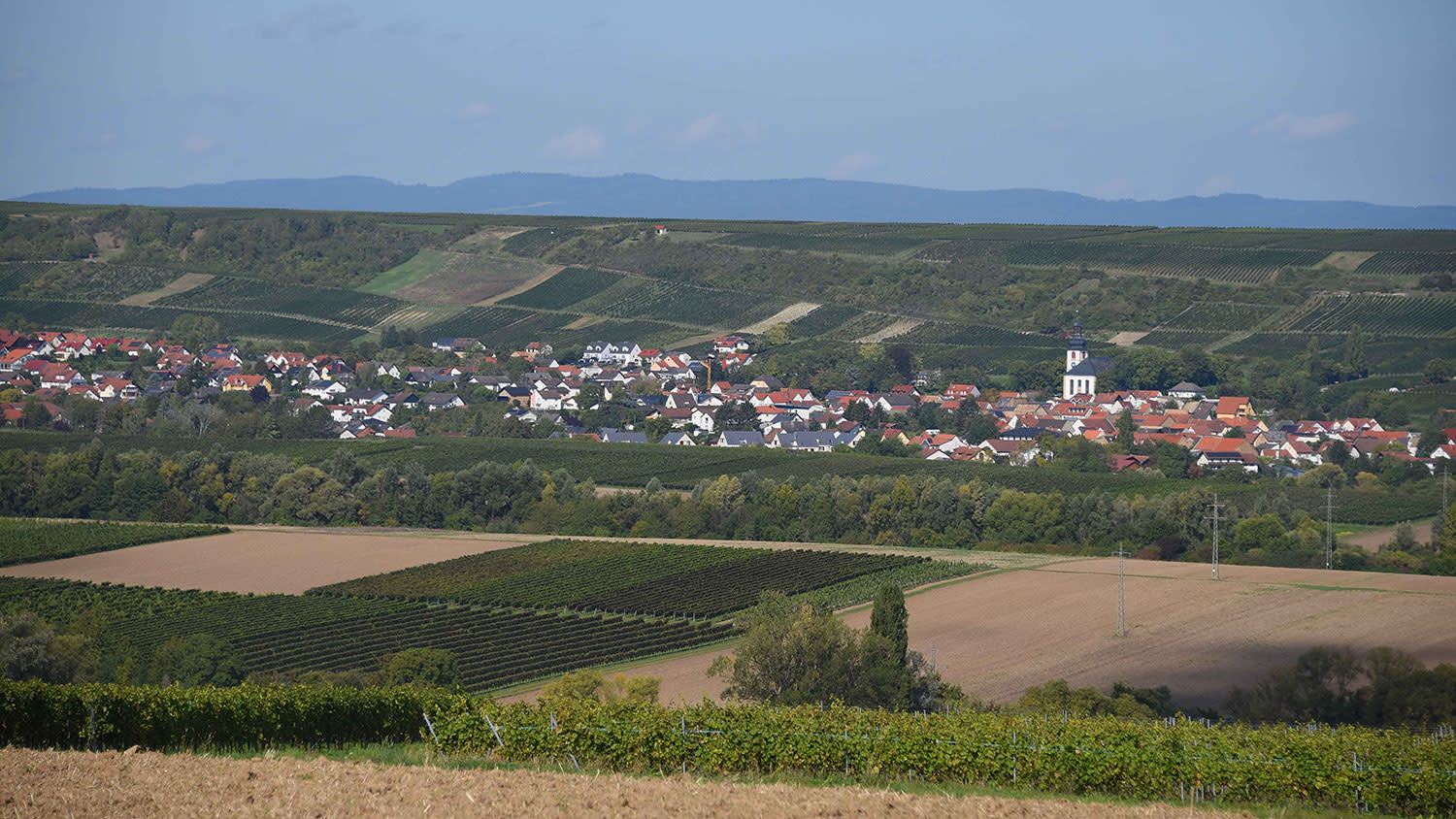Landschaft und Jugenheim im Hintergrund