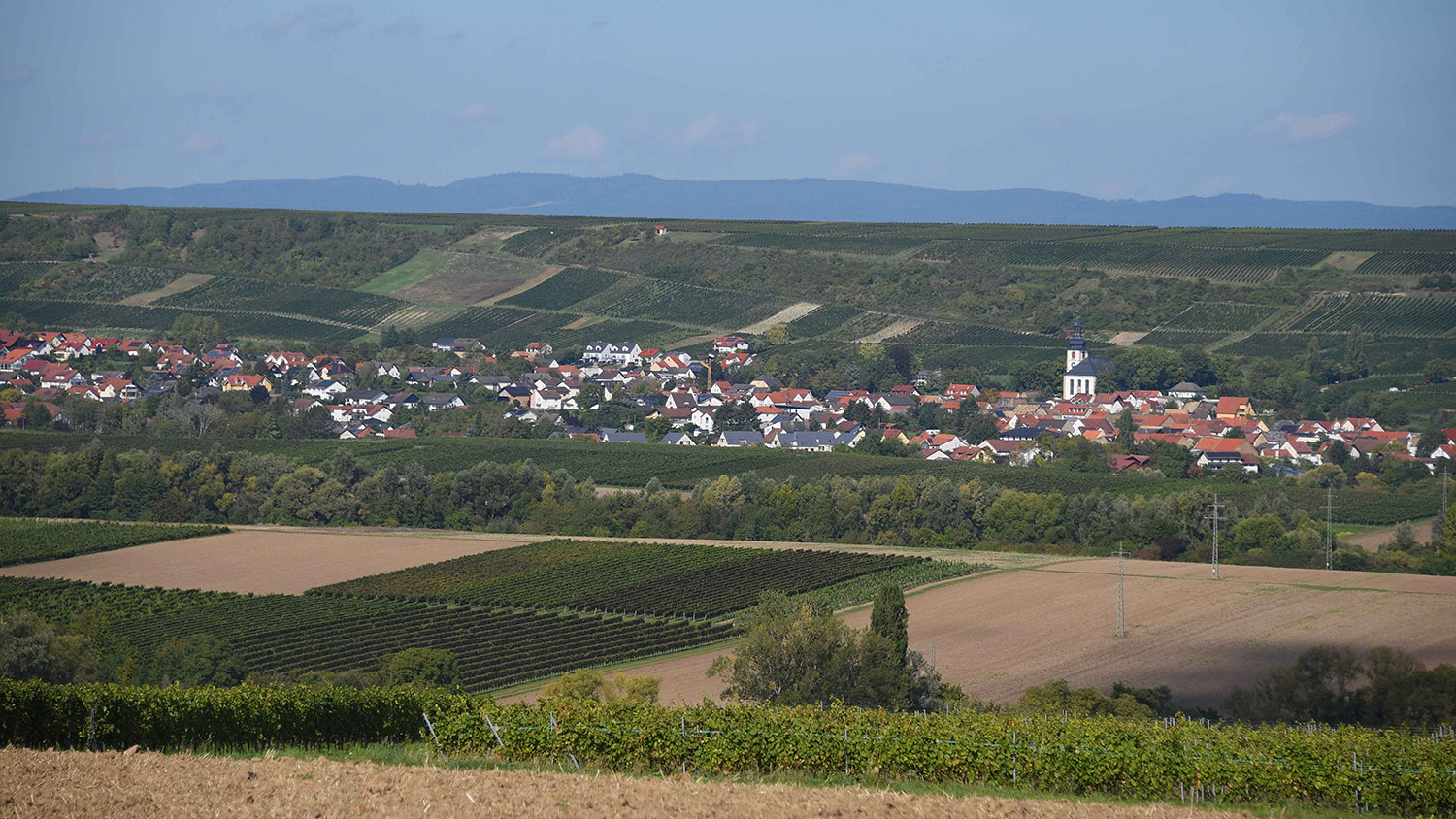 Landschaft und Jugenheim im Hintergrund
