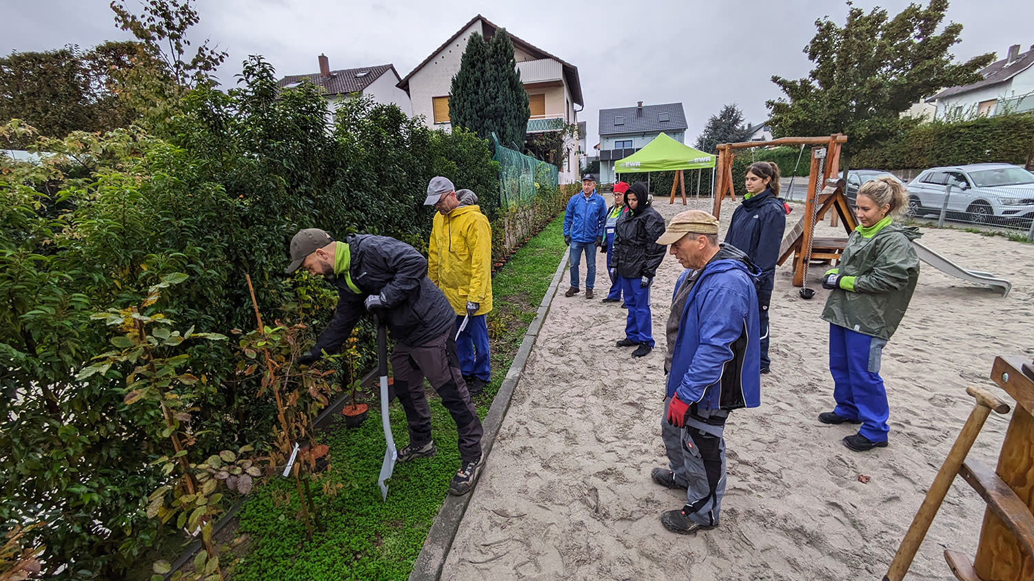 EWR Mitarbeiter pflanzen 105 Hainbuchen-Setzlinge beim EWR-Anpacktag in Nierstein