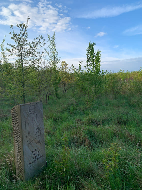 Bäume aus dem Ober-Olmer Wald