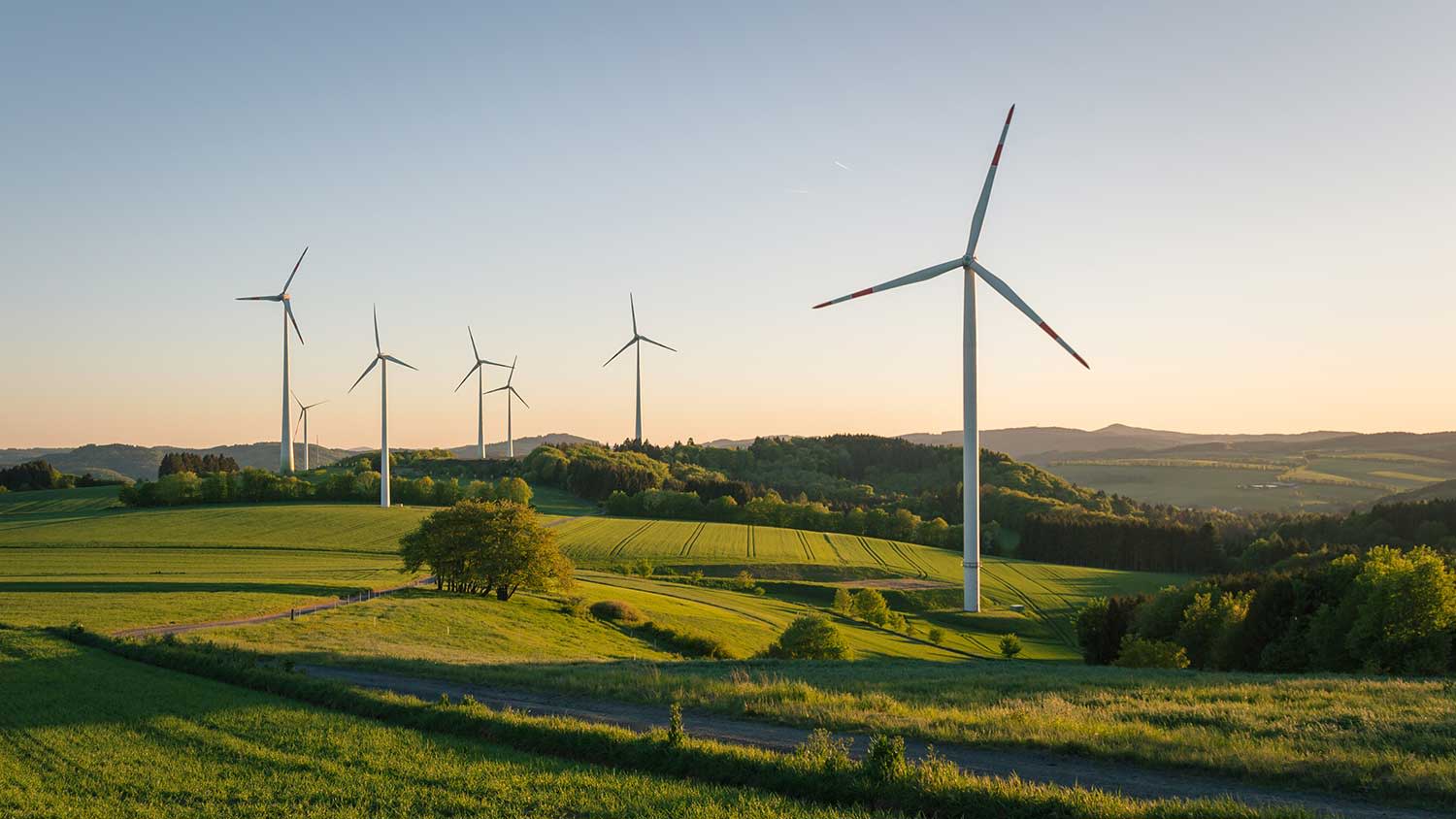 Windräder stehen in grüner Landschaft.