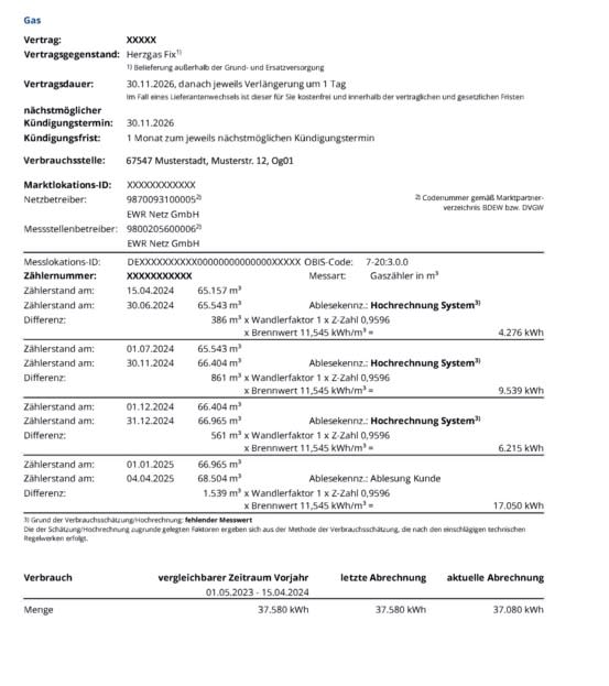 EWR Musterrechnung - Übersicht Gas Vertragsdaten