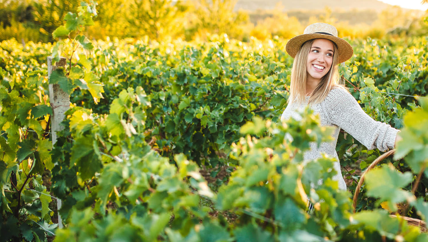 Frau mit Strohhut in den Weinbergen