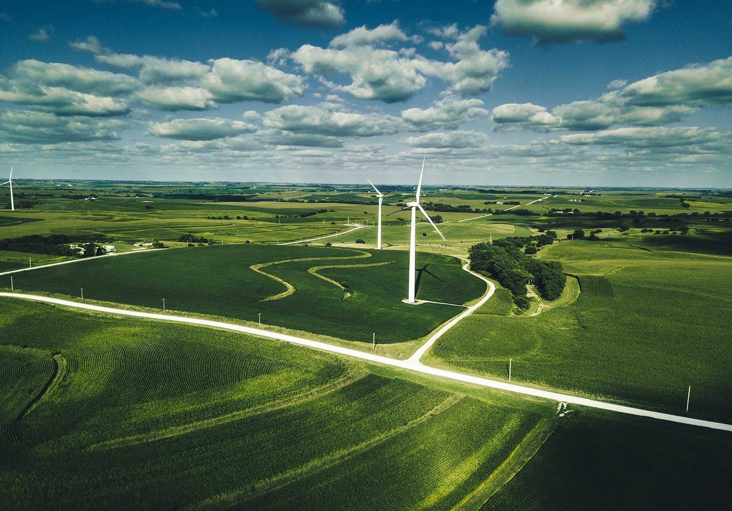 Windräder auf einem Feld.