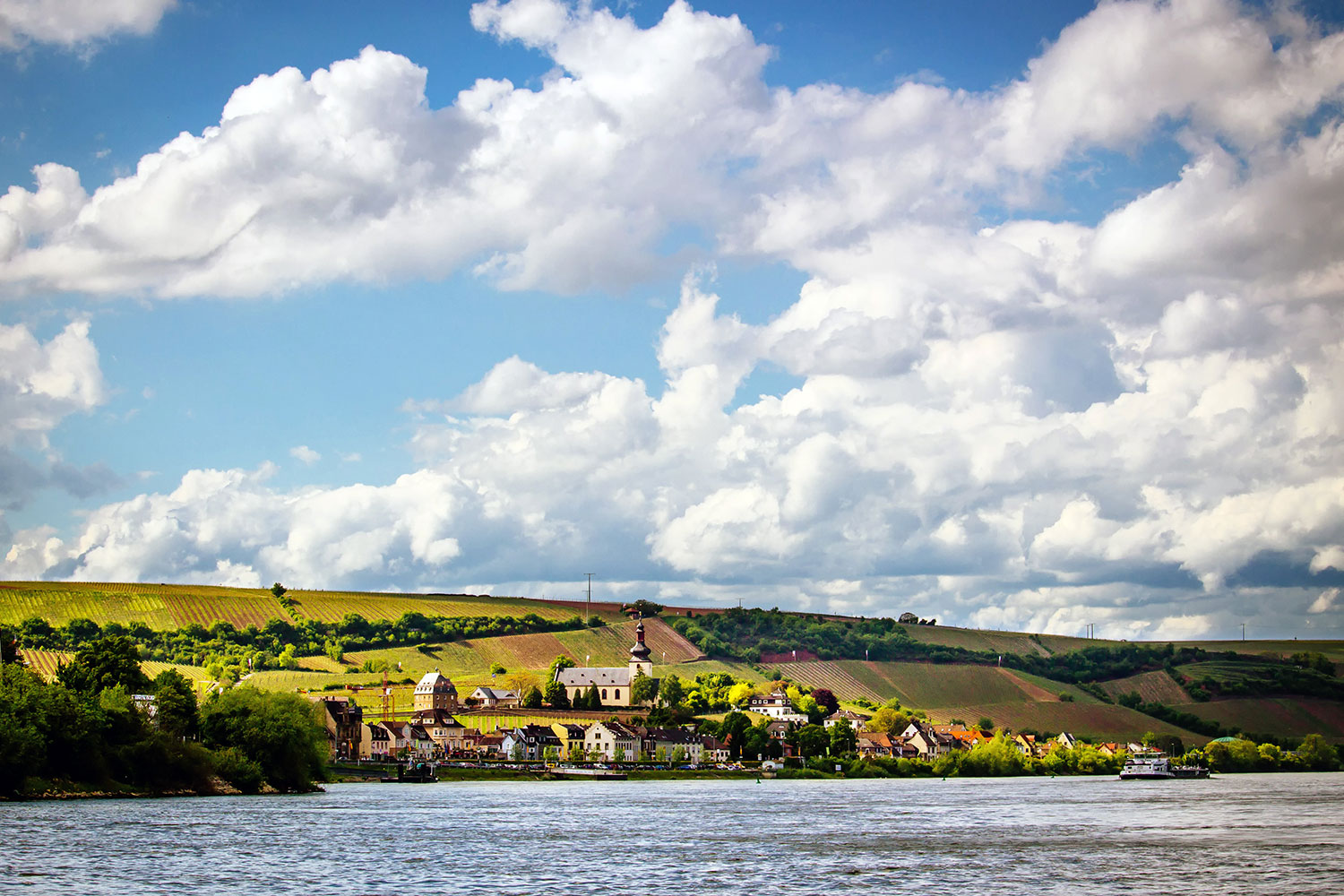 Panorama von Nierstein mit Rhein im Vordergrund