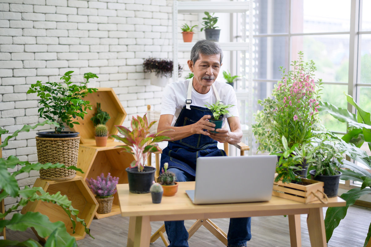 A man sits in front of his laptop computer, holding up a plant to show during a live shopping session. 