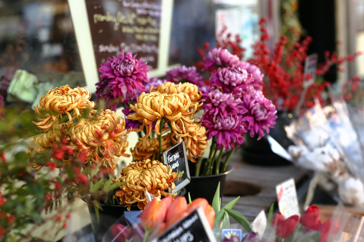 Ouvrir un magasin de fleurs 