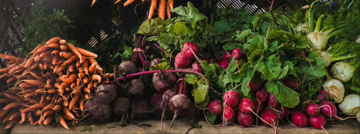 Warenwirtschaftssysteme in Gastronomie & Handel