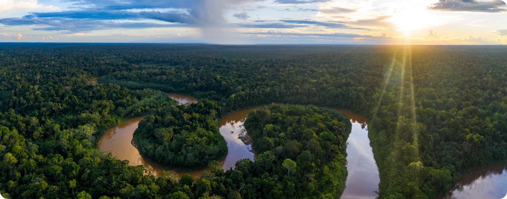 Aerial view of the SumUp forest in Peru with a winding river cutting through dense greenery. The setting sun casts golden light over the treetops with a sunbeam effect. The sky blends blue and soft clouds, with a distant rain shower visible on the horizon