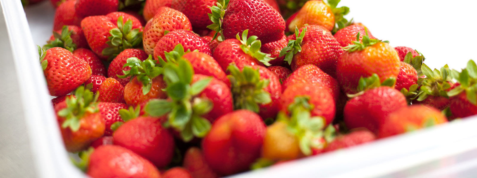 greengurus-strawberries-title