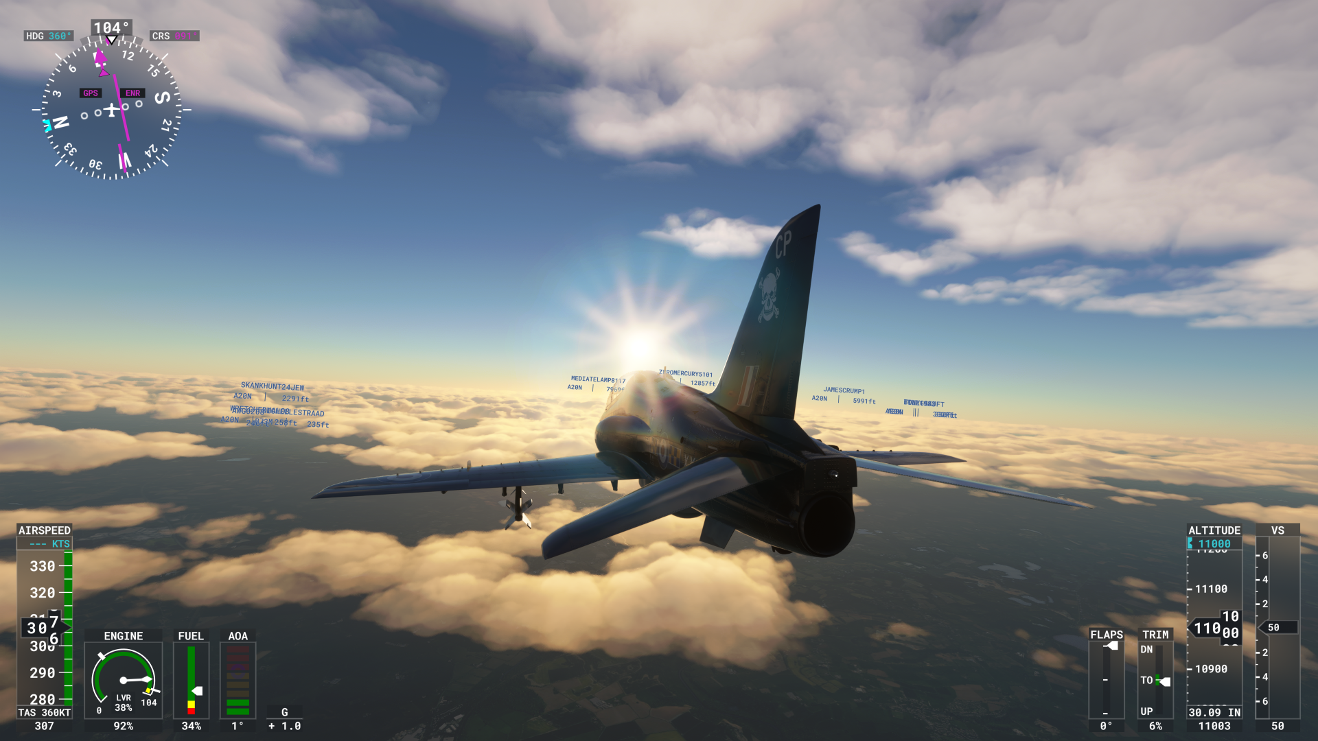 Microsoft Flight Simulator screenshot