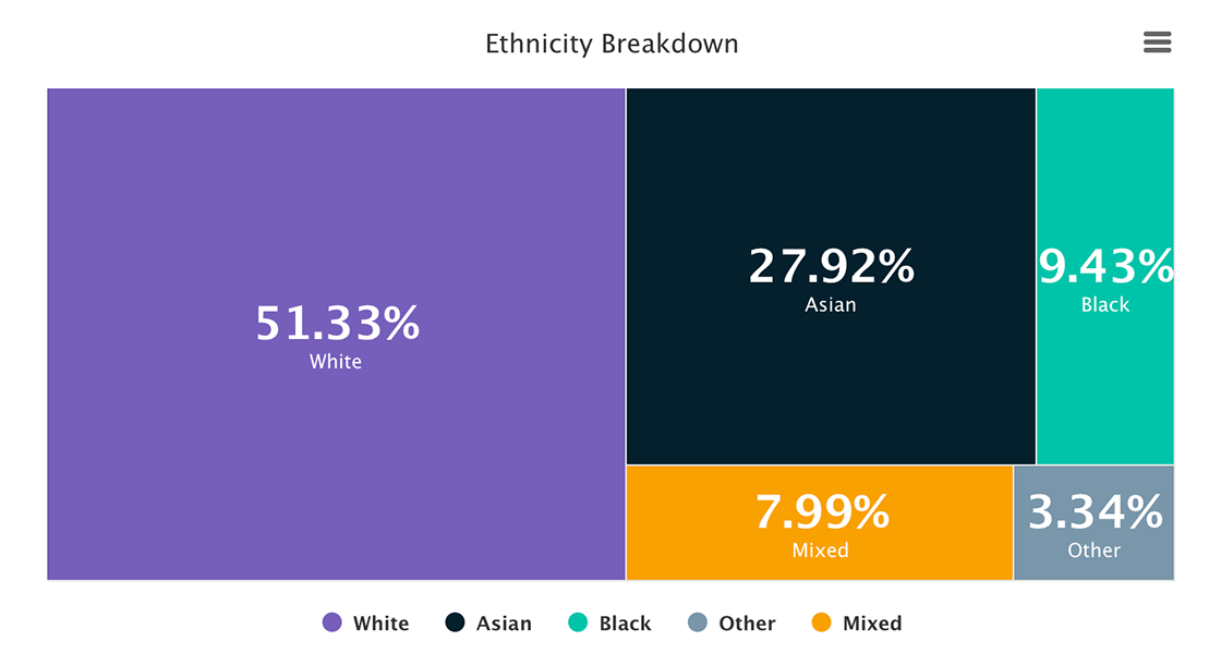horsefly ethnicity breakdown