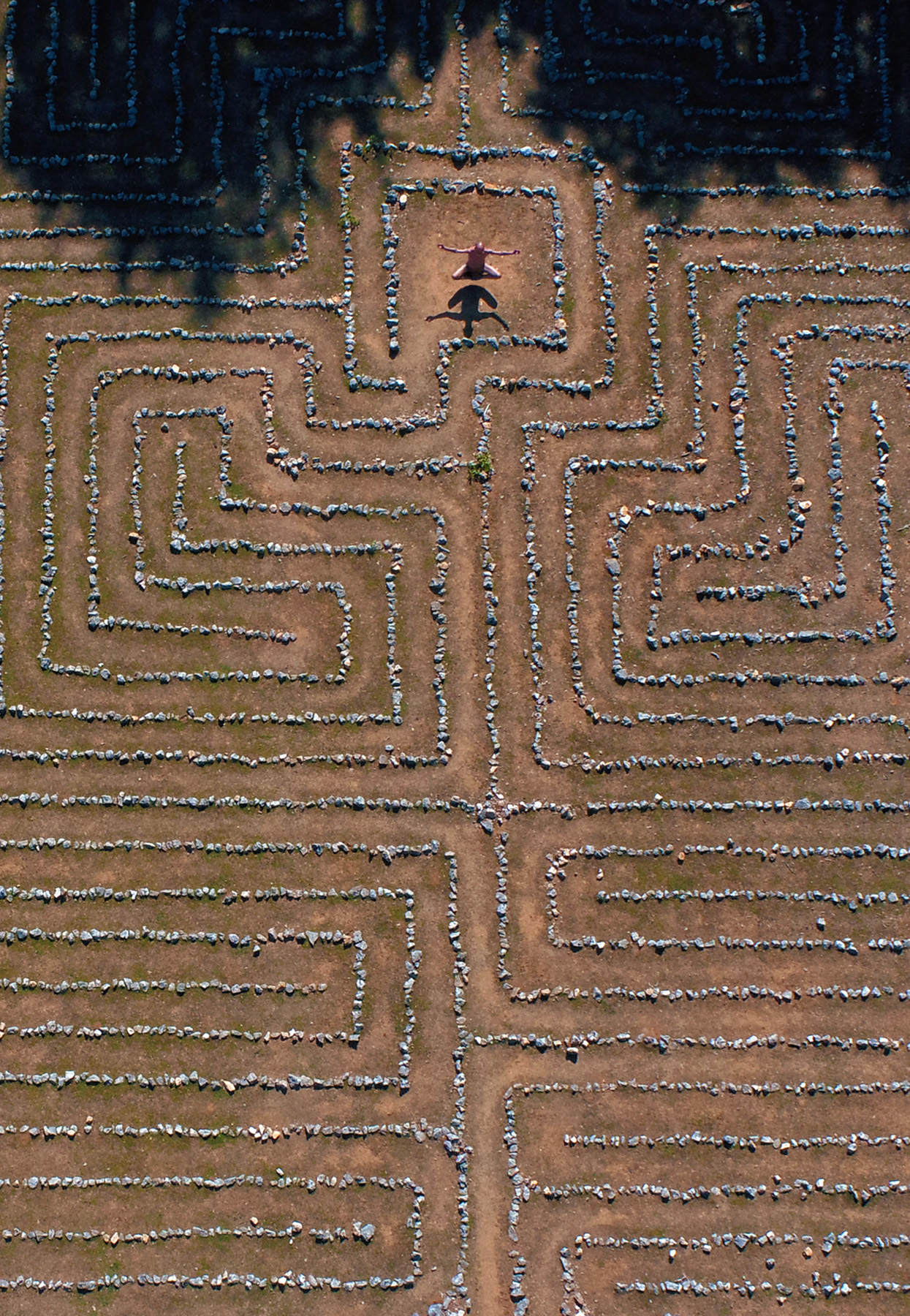 The maze