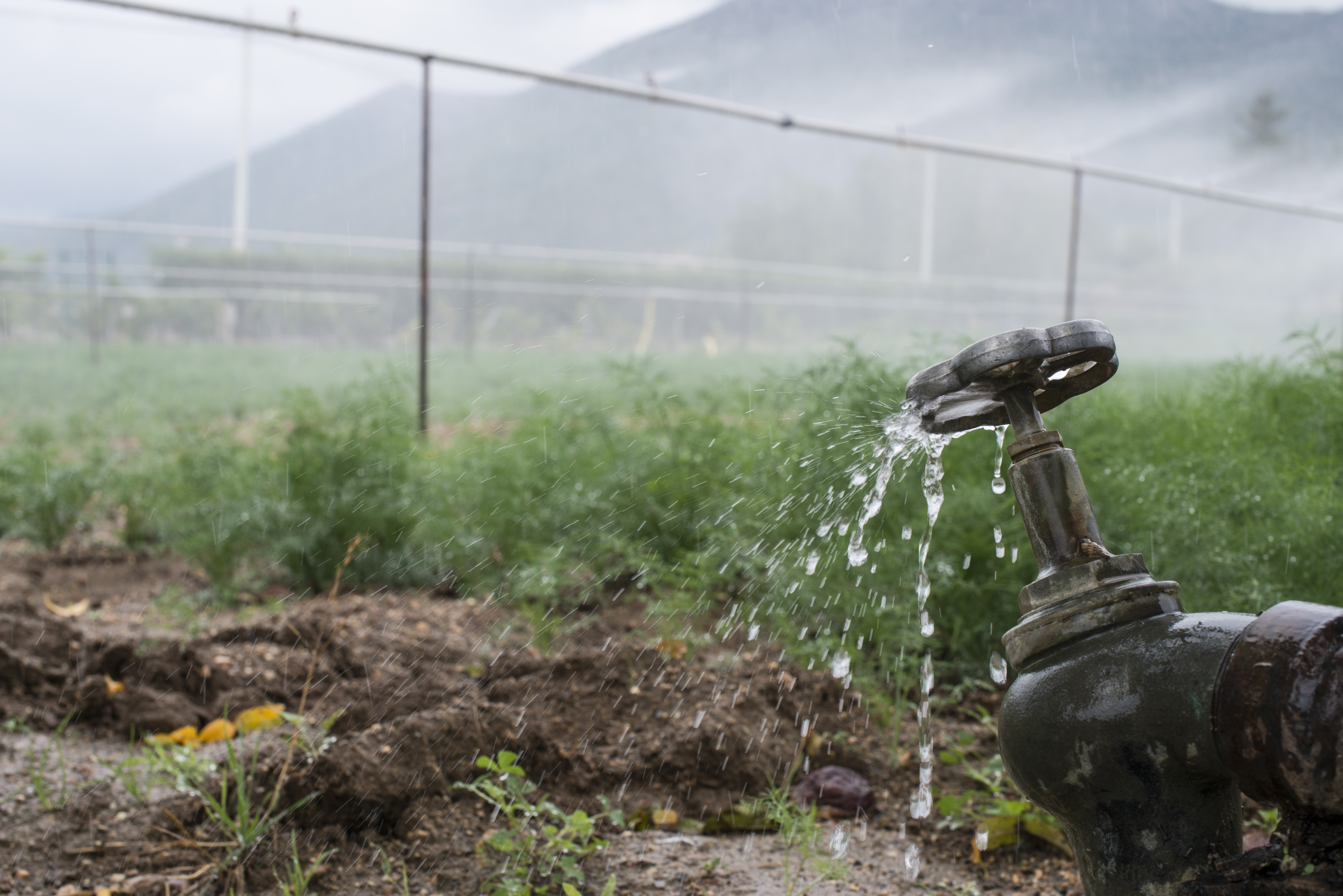 pipes-and-tap-water-for-watering-plants-2023-11-27-05-11-02-utc.jpg