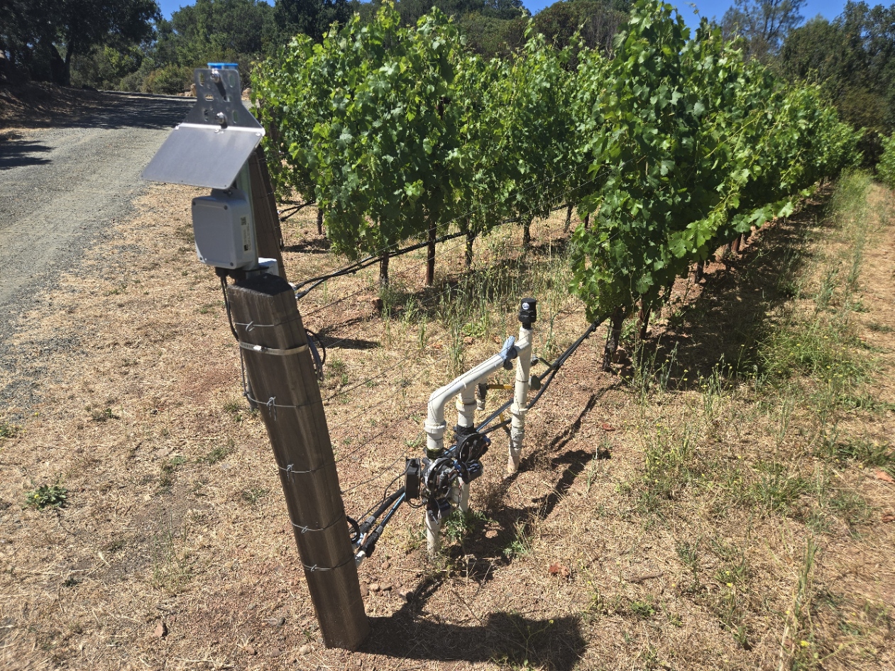 neatMon Automated Monitoring Node, controlling irrigation for winegrapes