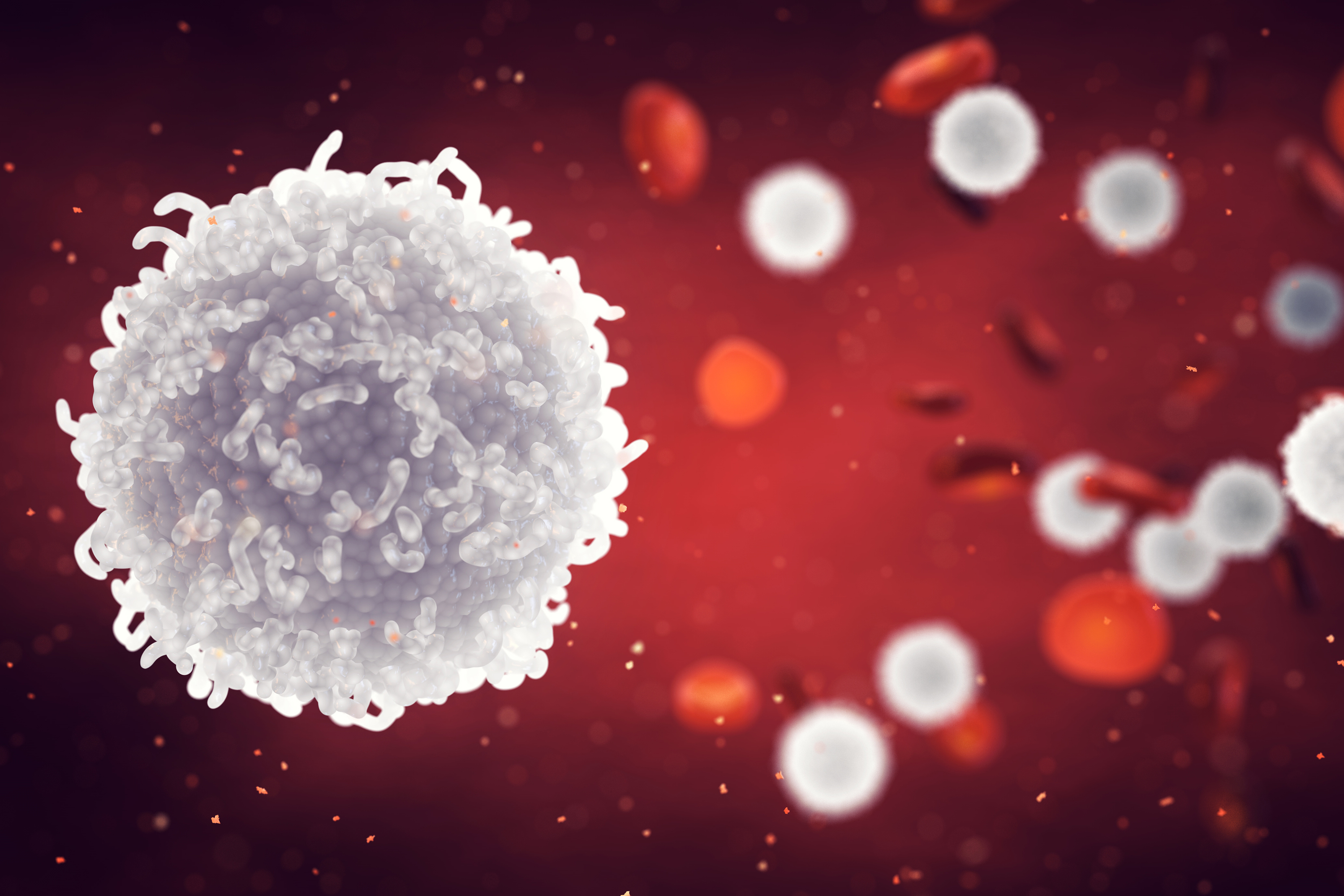 Understanding White Blood Cells and Differentials