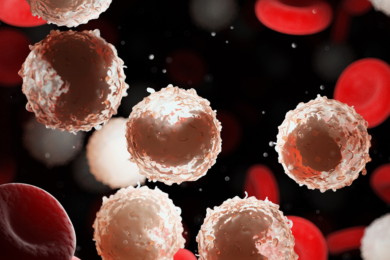 white blood cells fighting virus