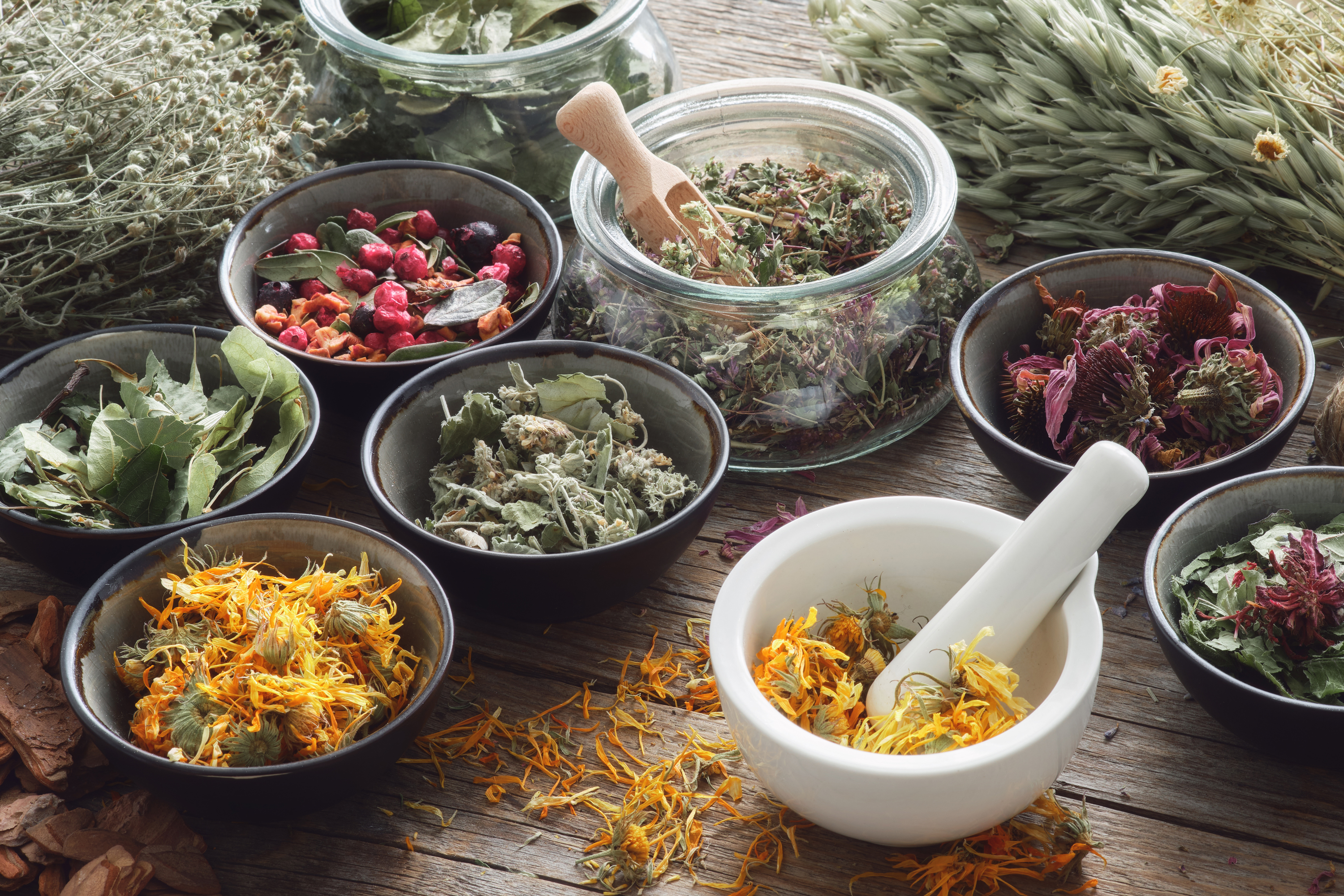 Herbal cancer treatments