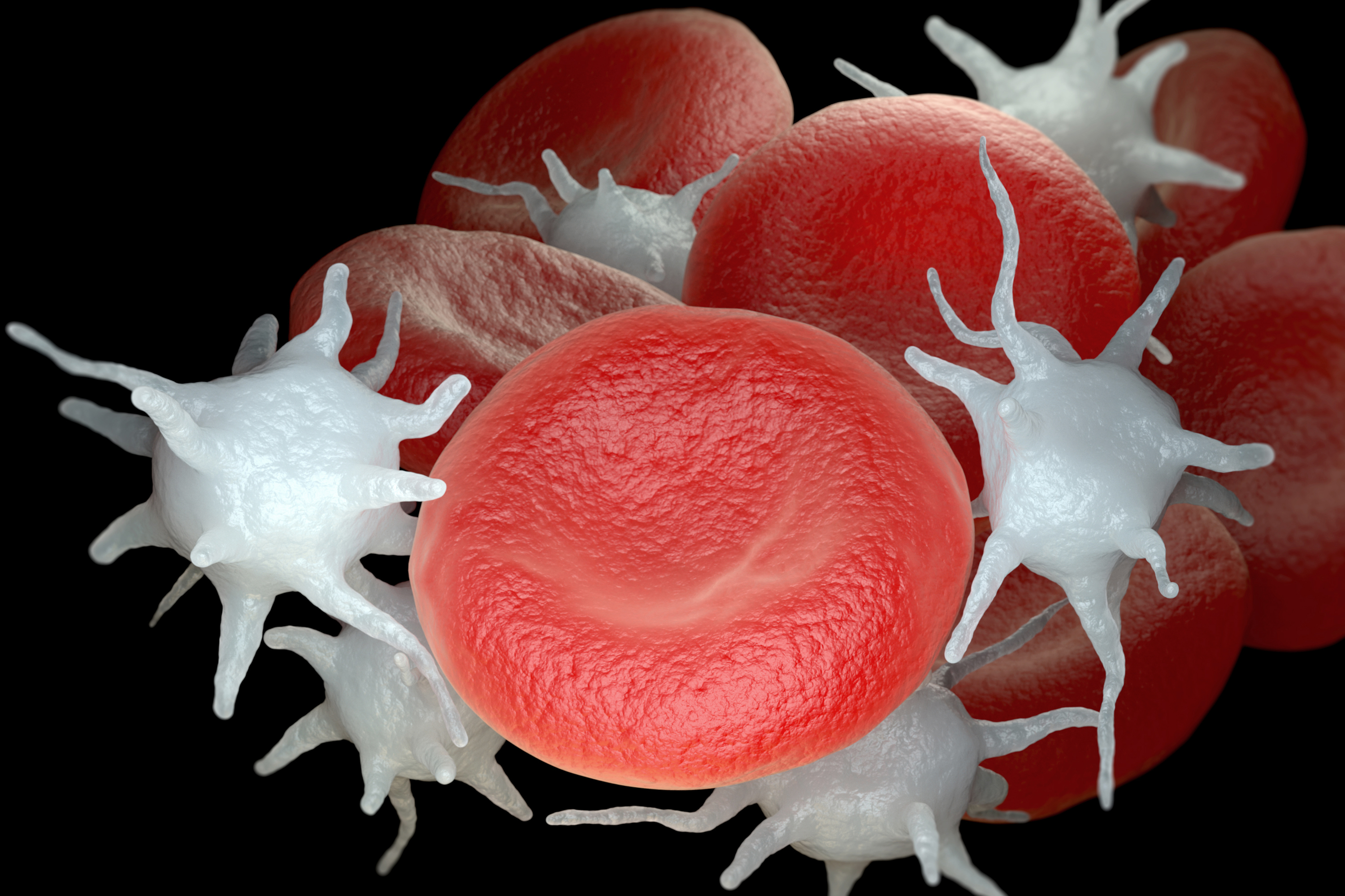 Blood Basics: What are Platelets?