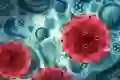 How Are BTK Inhibitors Changing Waldenstrom Patients’ Outcomes?