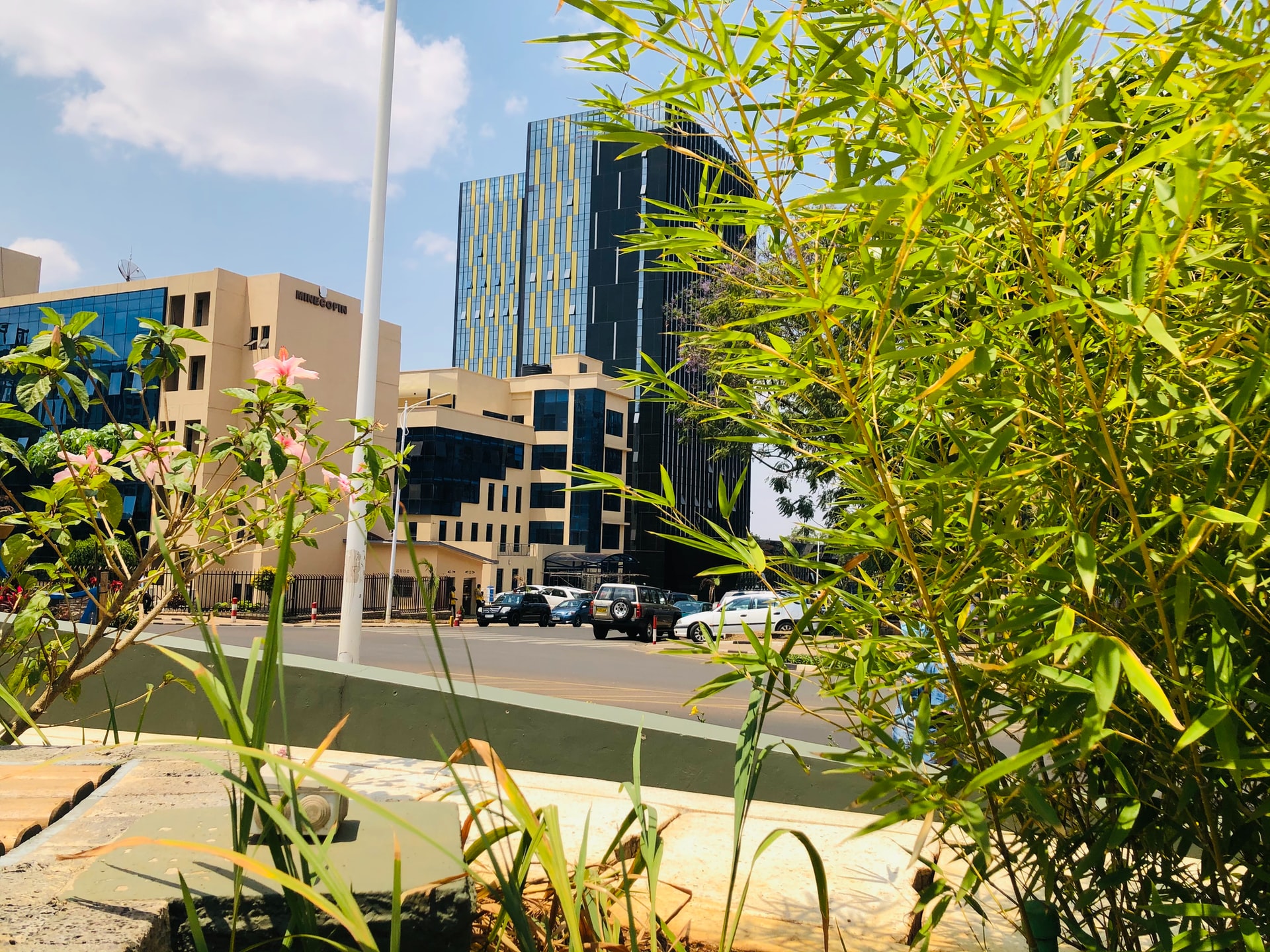 Starting up in emerging markets