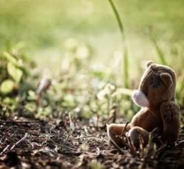 Shine Lawyers | Lost teddy bear sitting in grass | Shine Lawyers
