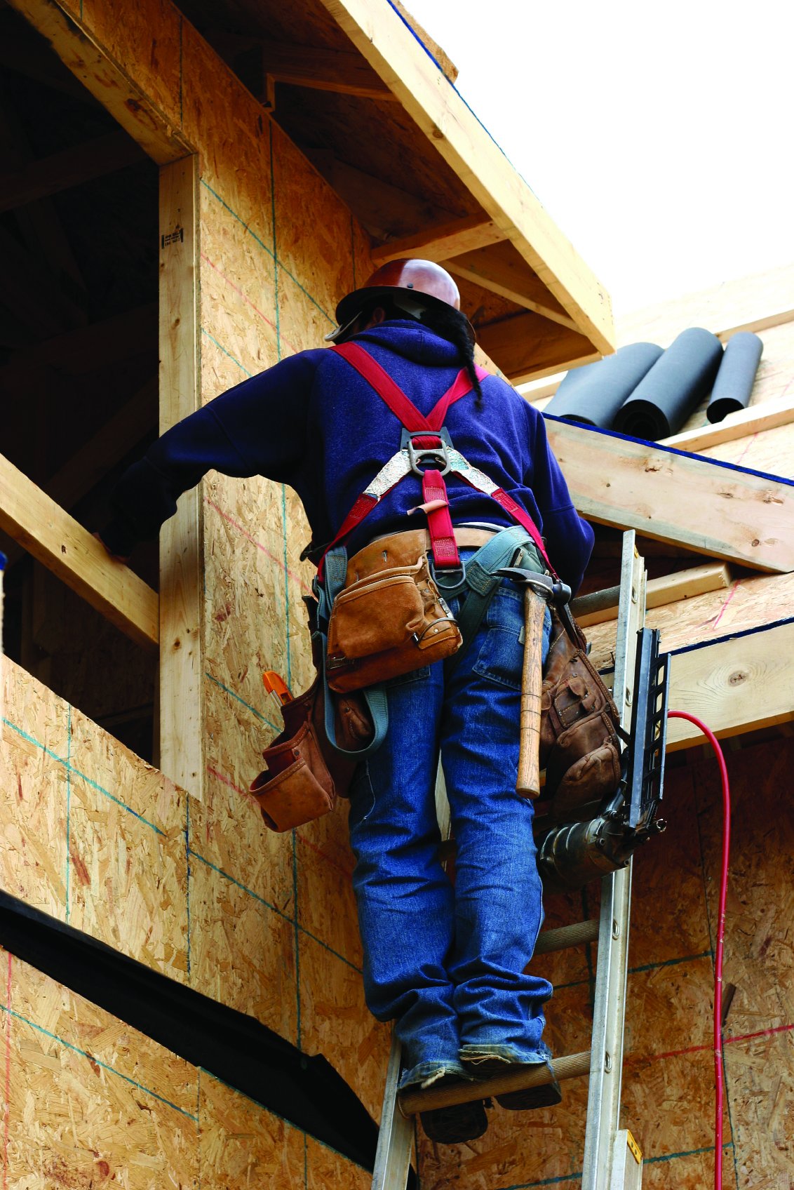 Parts of a case study picture