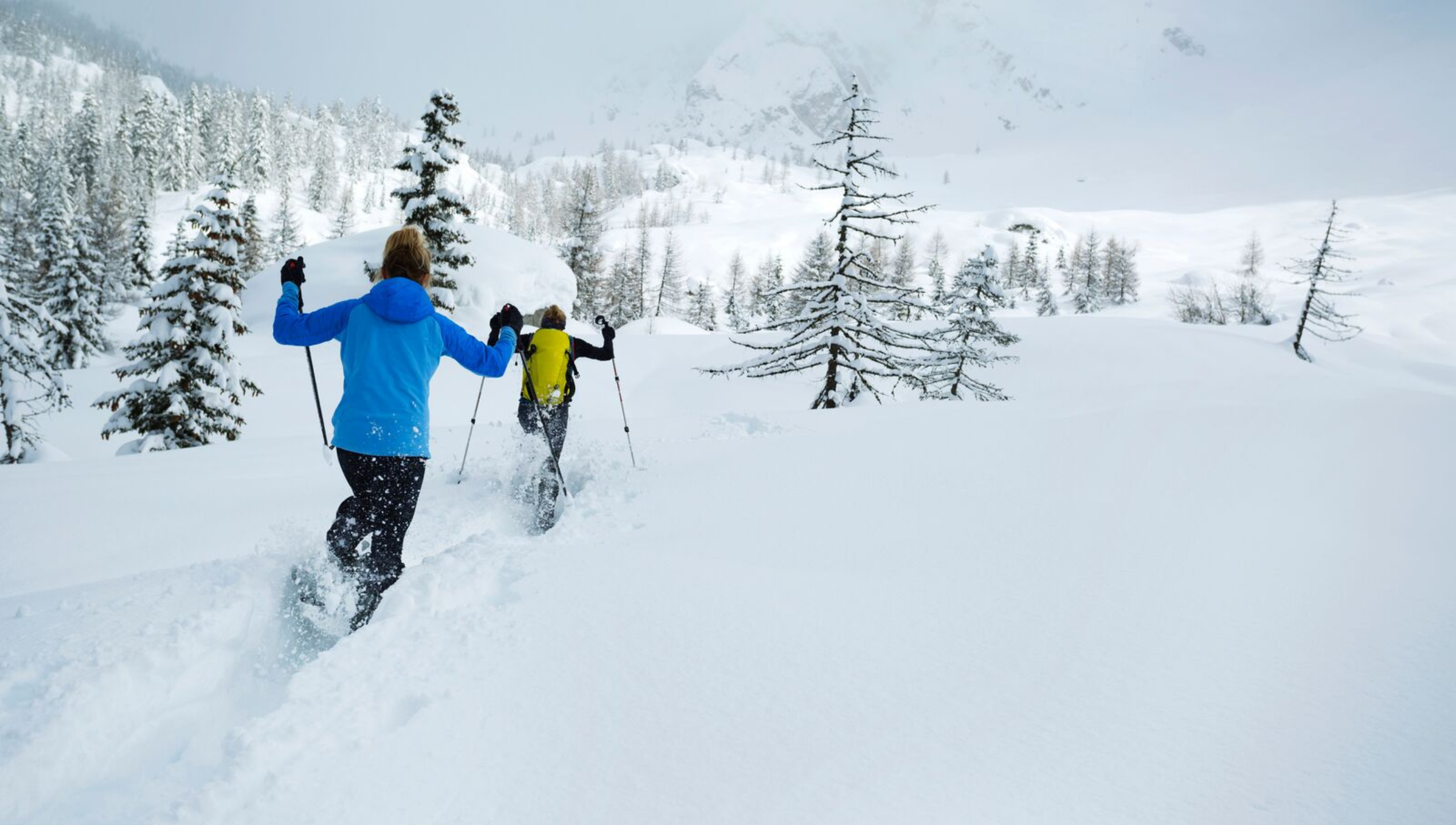Stilvolle Sprche Fr Winter Bilder