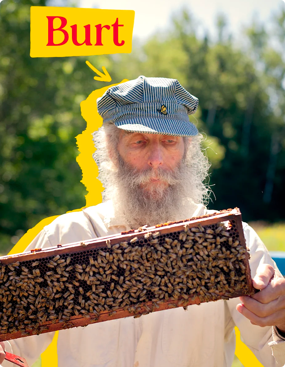 Burt's discount bees beekeeper