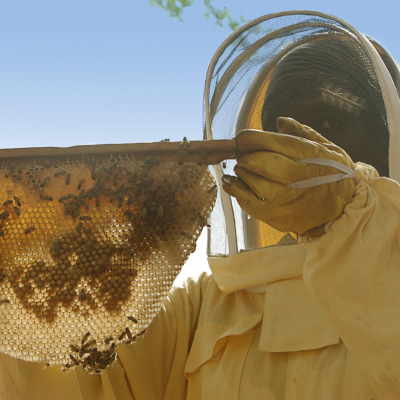 Beekeepers Column Image