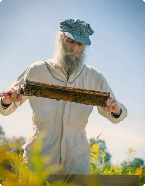 burt beekeeper