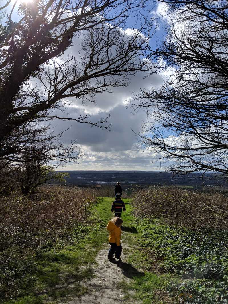 Children walking on path