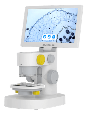 BeaverLAB Darwin MX Professional smásjá með Skjá