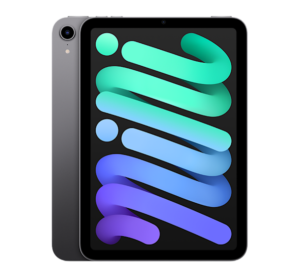 iPad mini  - Black