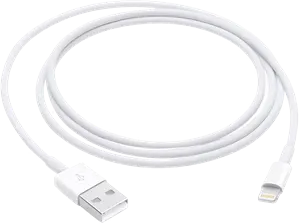 Apple Lightning to USB (1m)