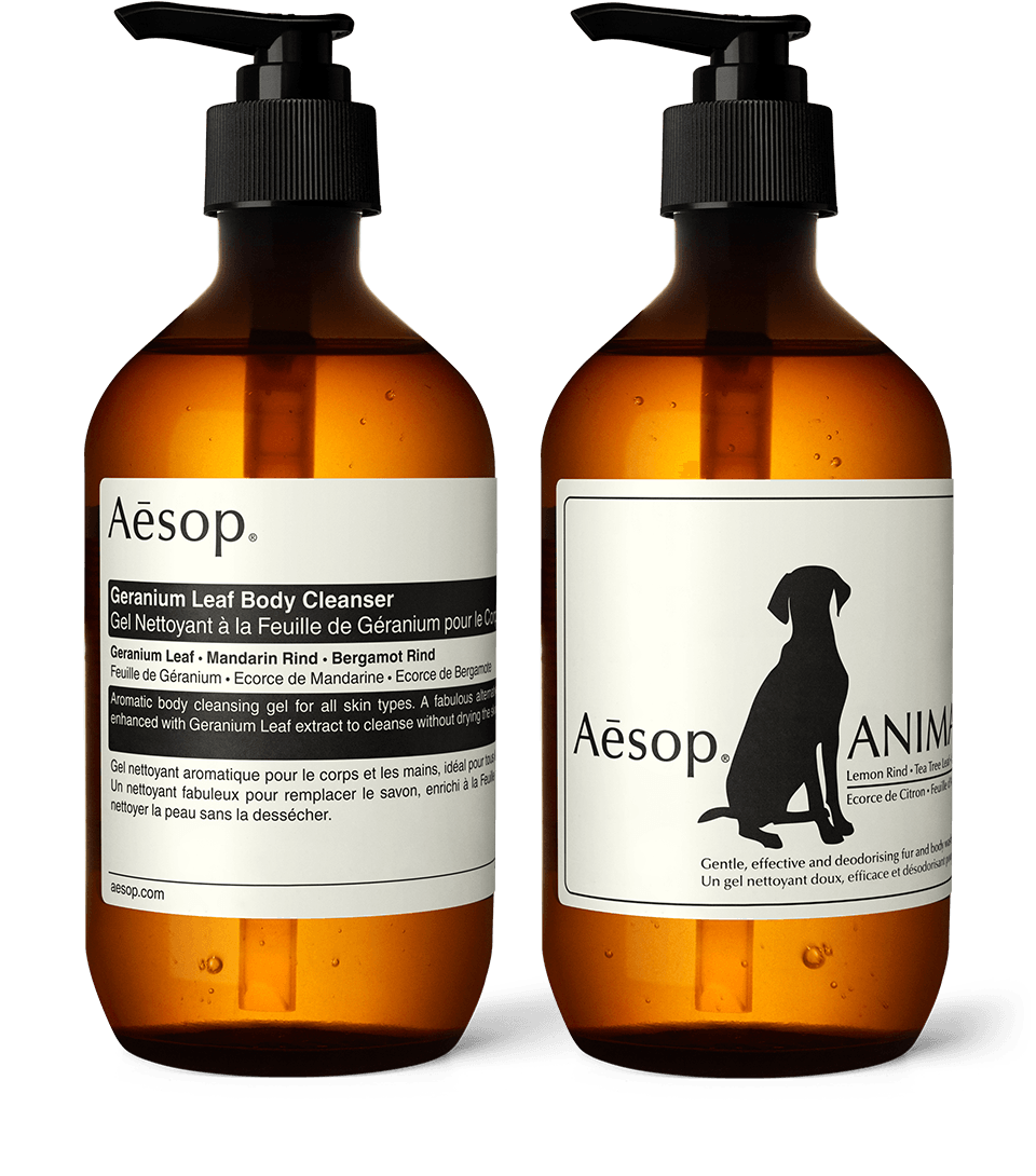 You Your Dog Duo Aesop
