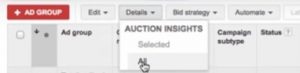 Digital-Monopoly-Perth-AdWords-Auction-Insights-1-300x73-1